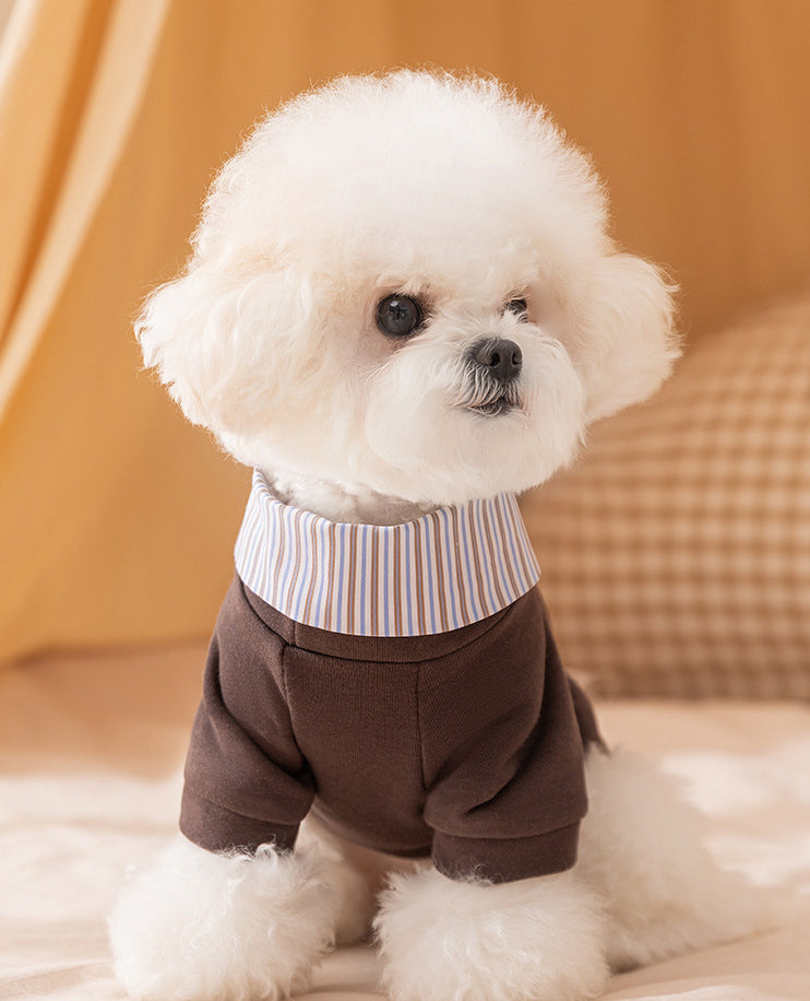 くまモチーフレイヤード風スウェット