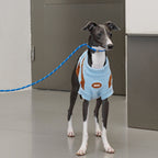 ブルーブラウンボーダーニット