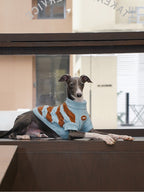 ブルーブラウンボーダーニット