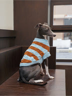 ブルーブラウンボーダーニット