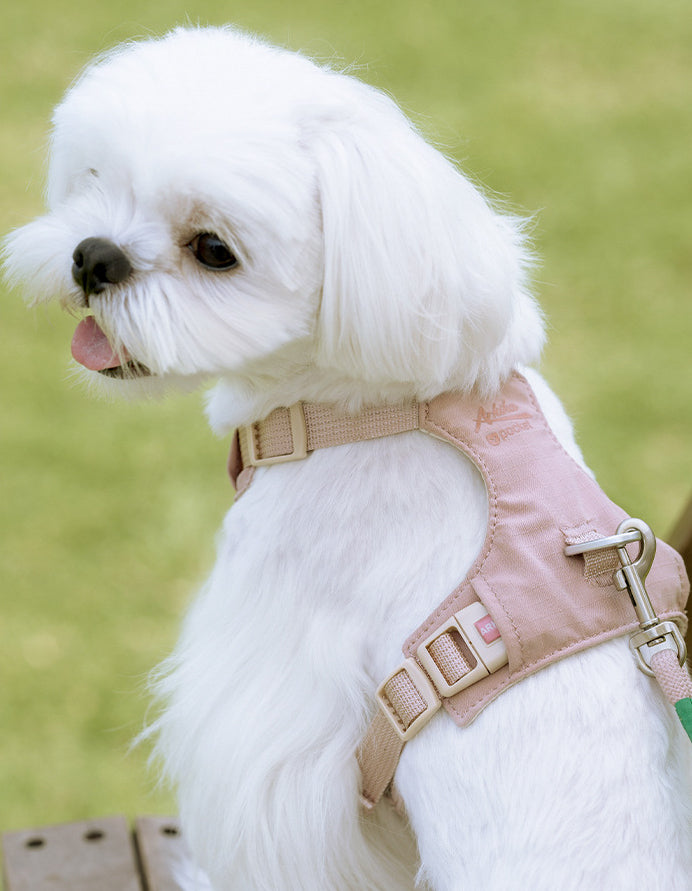 クリスタルチャーム付きハーネス＆リードセット