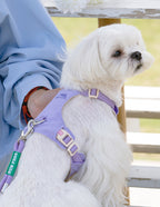 クリスタルチャーム付きハーネス＆リードセット