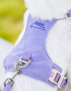 クリスタルチャーム付きハーネス＆リードセット