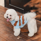 ブルーブラウンボーダーニット