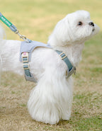 クリスタルチャーム付きハーネス＆リードセット