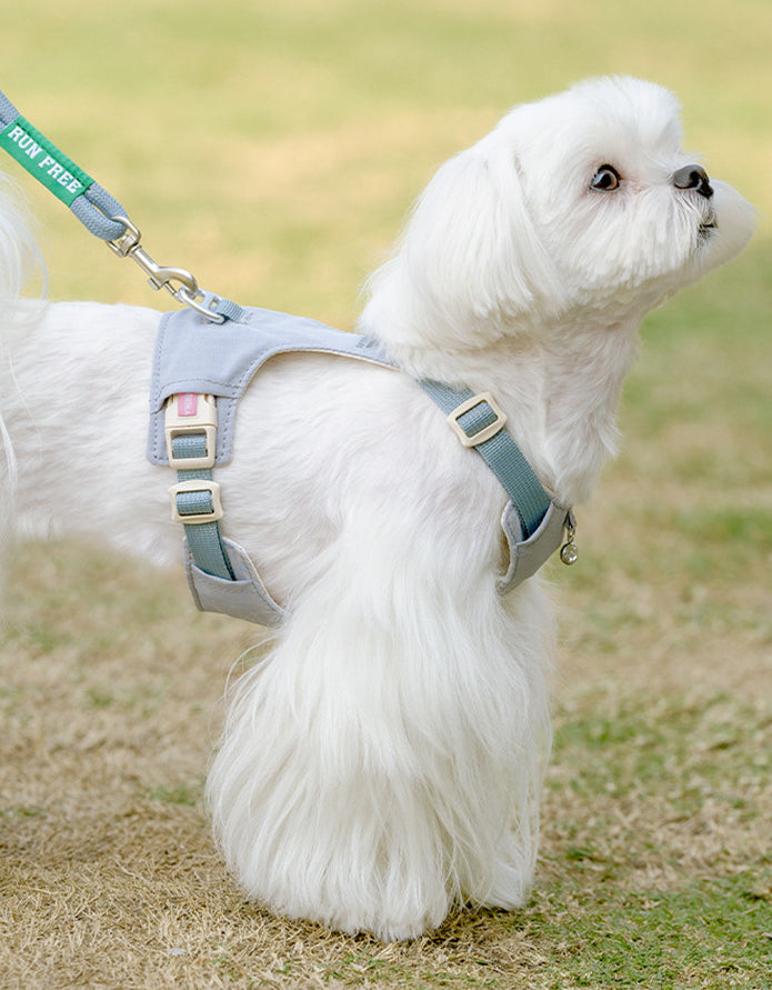 クリスタルチャーム付きハーネス＆リードセット