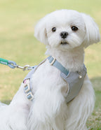 クリスタルチャーム付きハーネス＆リードセット