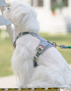 クリスタルチャーム付きハーネス＆リードセット