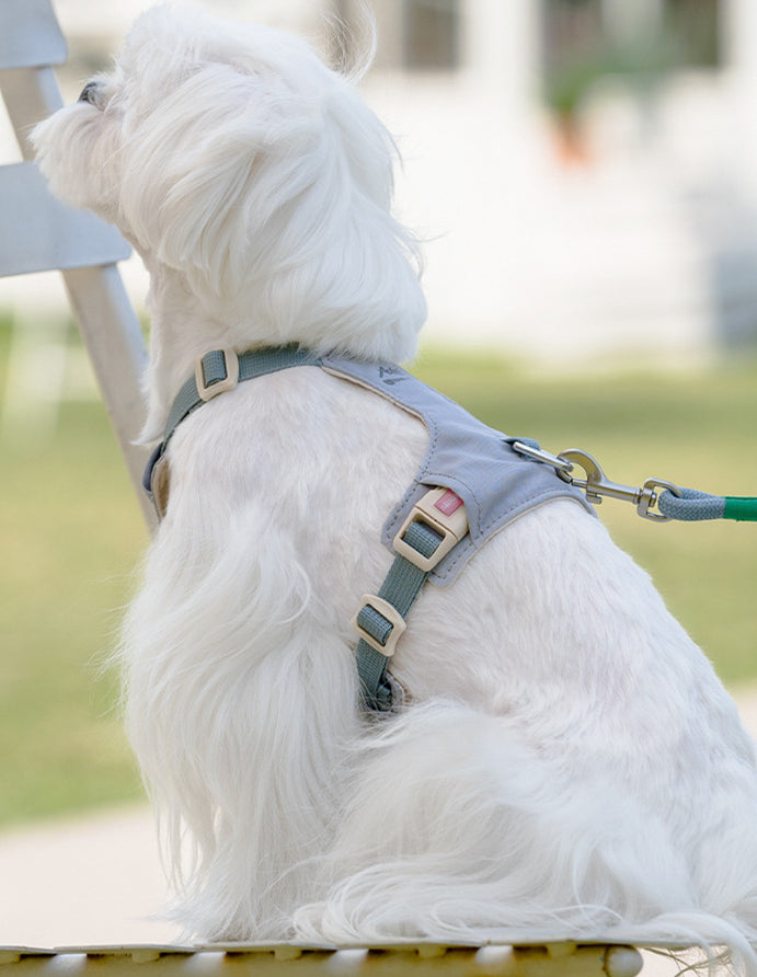 クリスタルチャーム付きハーネス＆リードセット