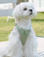 クリスタルチャーム付きハーネス＆リードセット