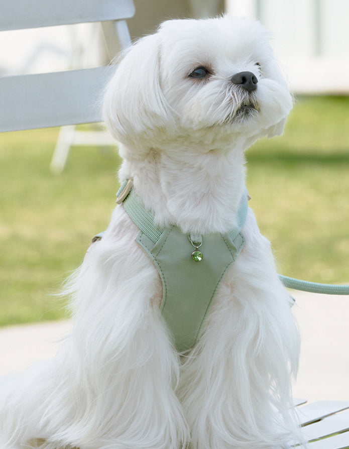 クリスタルチャーム付きハーネス＆リードセット