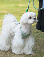 クリスタルチャーム付きハーネス＆リードセット