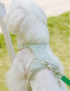 クリスタルチャーム付きハーネス＆リードセット