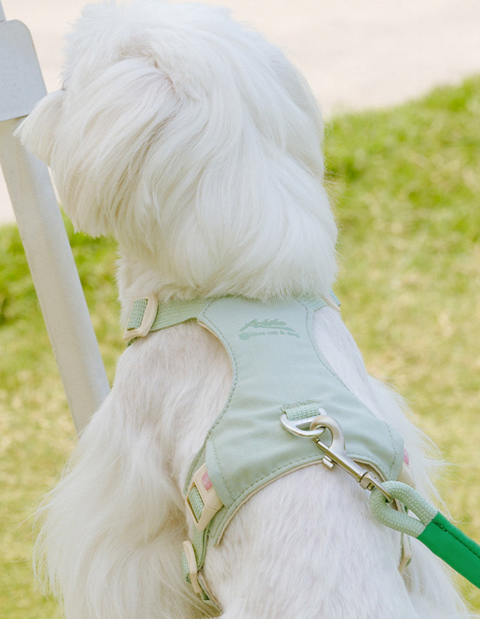 クリスタルチャーム付きハーネス＆リードセット