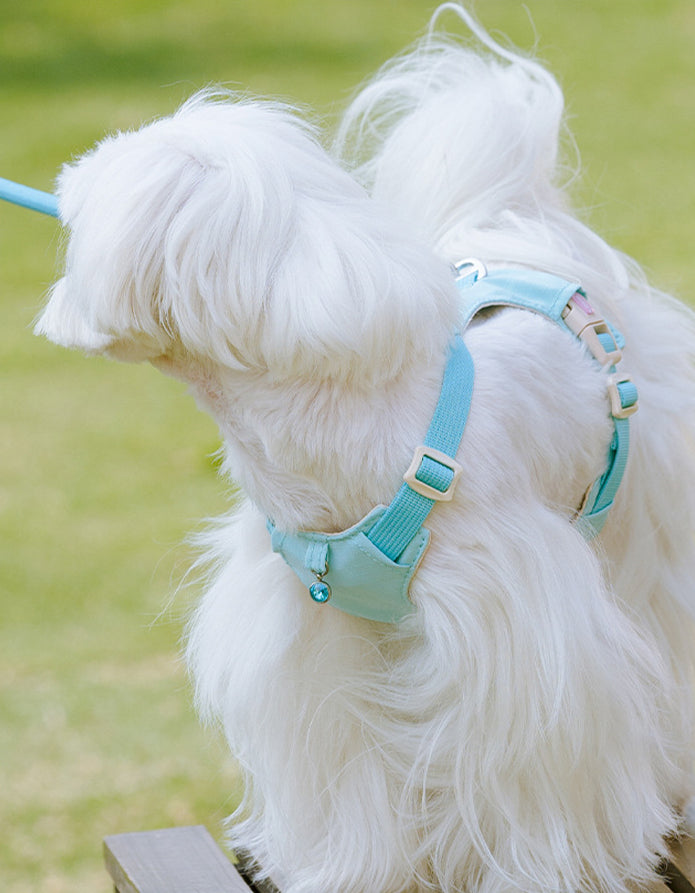 クリスタルチャーム付きハーネス＆リードセット