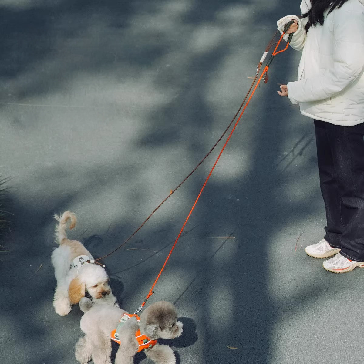 軽量コンフォートリード