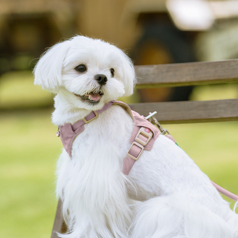 クリスタルチャーム付きハーネス＆リードセット