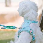 クリスタルチャーム付きハーネス＆リードセット