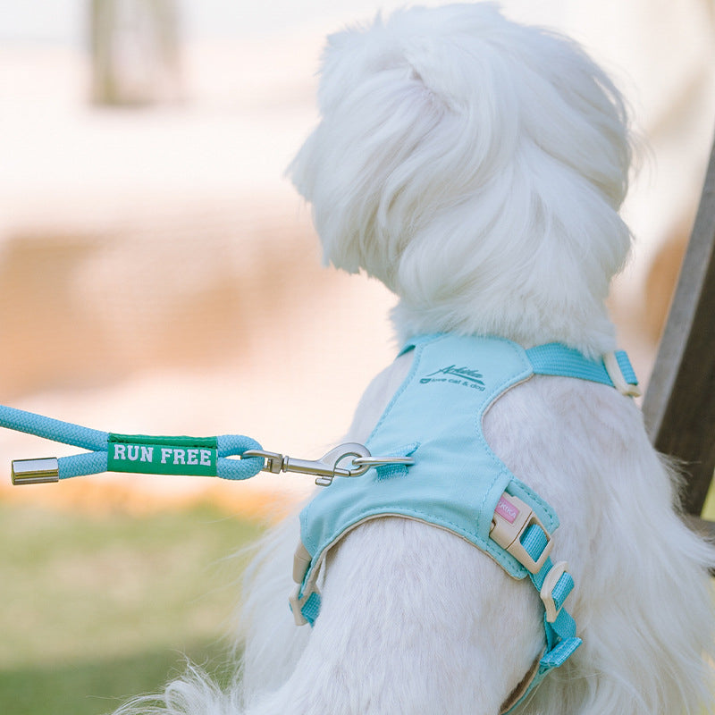 クリスタルチャーム付きハーネス＆リードセット