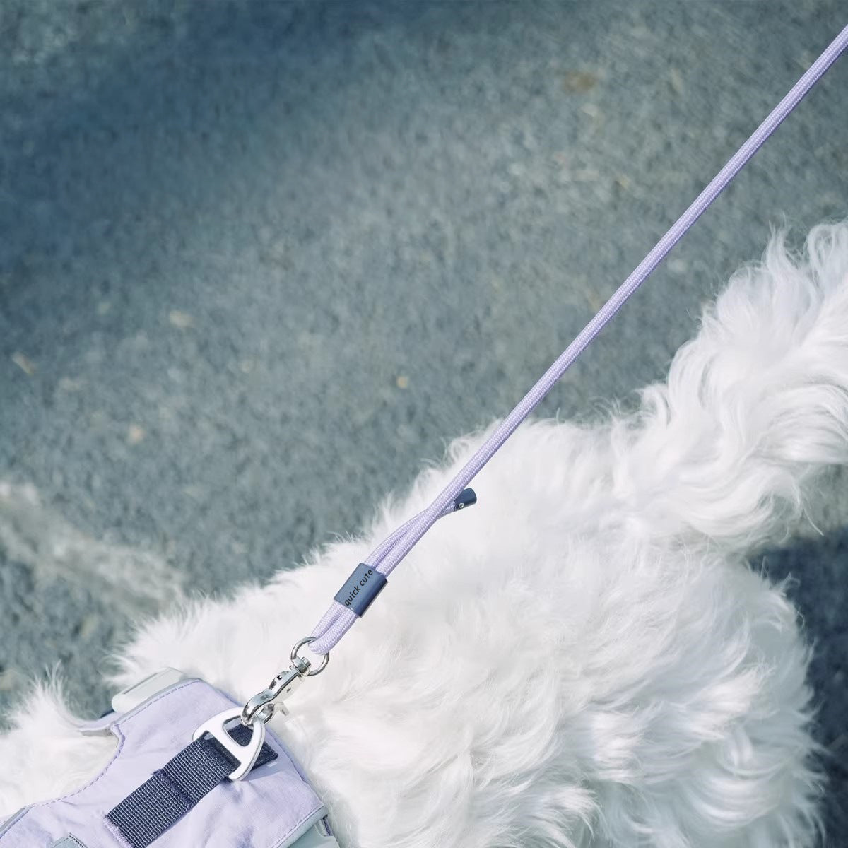 軽量コンフォートリード