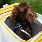 ひろびろおでかけキャリー