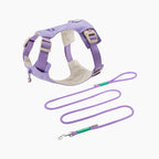 クリスタルチャーム付きハーネス＆リードセット