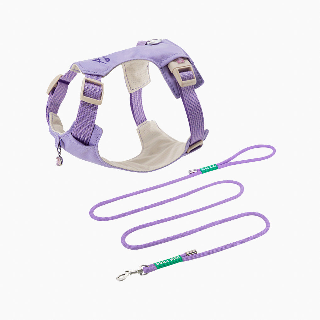 クリスタルチャーム付きハーネス＆リードセット