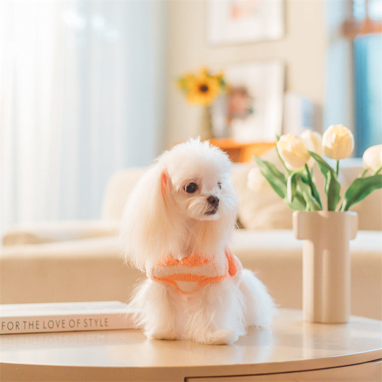 フード付きボーダー柄ノースリーブニット