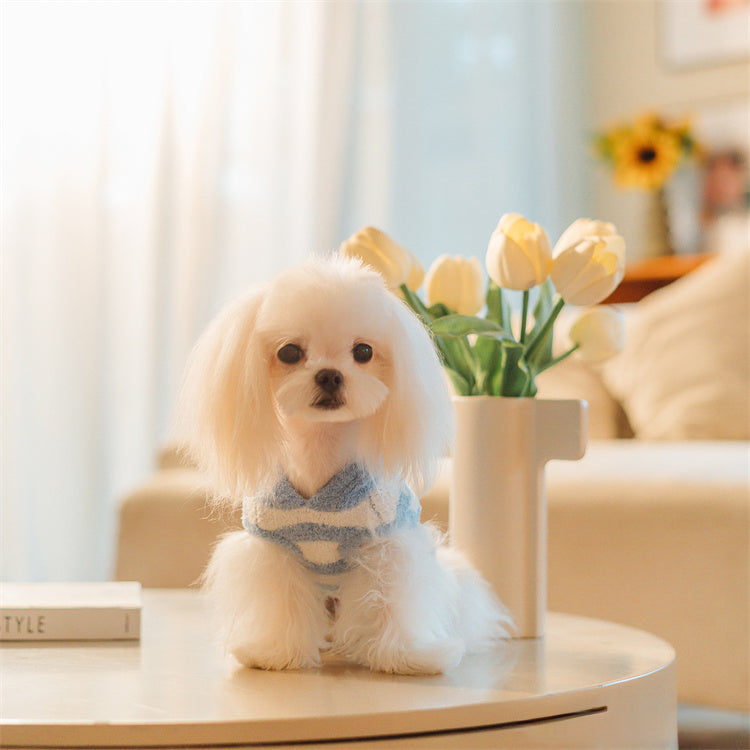 フード付きボーダー柄ノースリーブニット