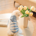 フード付きボーダー柄ノースリーブニット