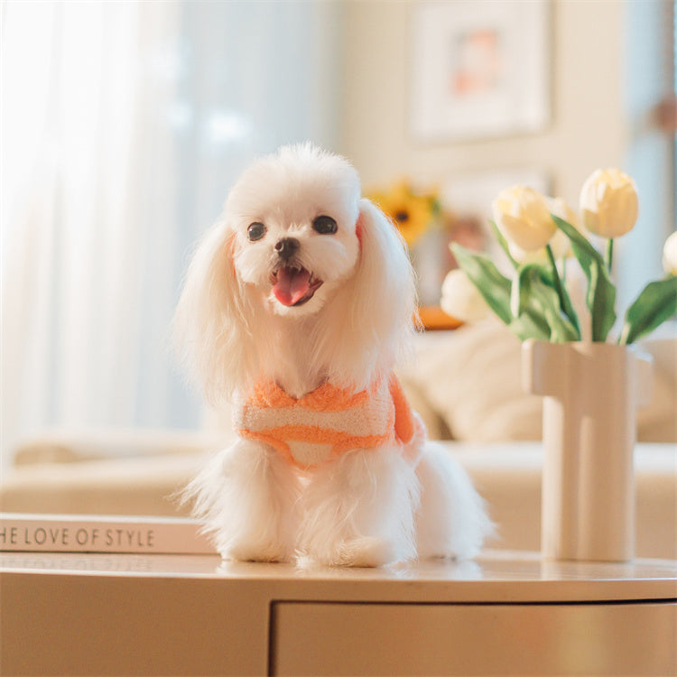 フード付きボーダー柄ノースリーブニット