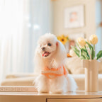 フード付きボーダー柄ノースリーブニット