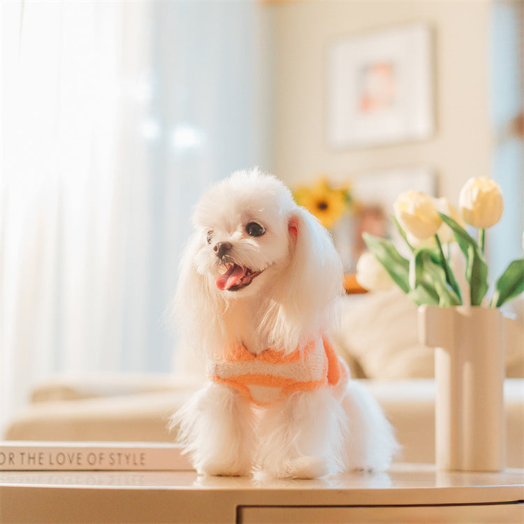 フード付きボーダー柄ノースリーブニット