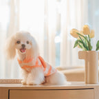 フード付きボーダー柄ノースリーブニット