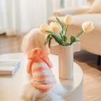 フード付きボーダー柄ノースリーブニット