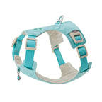 クリスタルチャーム付きハーネス＆リードセット