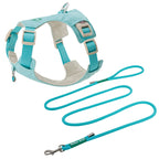 クリスタルチャーム付きハーネス＆リードセット