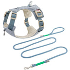 クリスタルチャーム付きハーネス＆リードセット